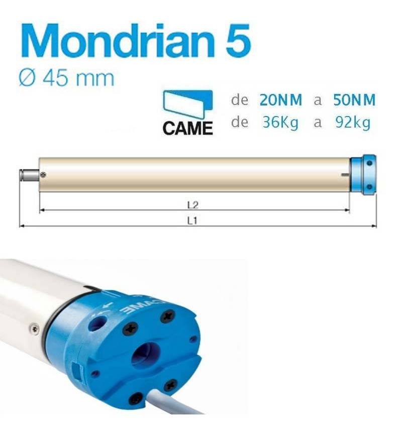 Motor tubular CAME MONDRIAN 5 para persiana doméstica Ø45